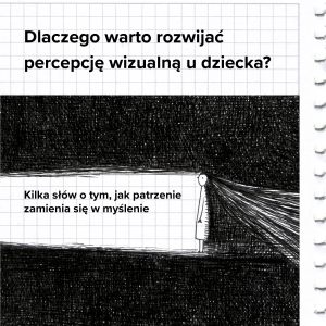 Dlaczego warto rozwijać percepcję wizualną u dziecka?