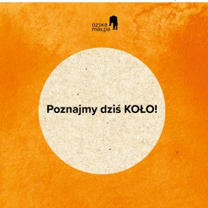 Poznajmy dzis koło!