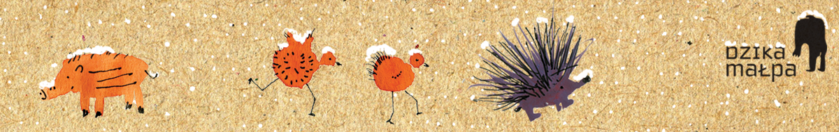 Projektowanie Graficzne / Dzika Małpa